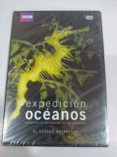 Spedizione oceani oceano - spedizione,