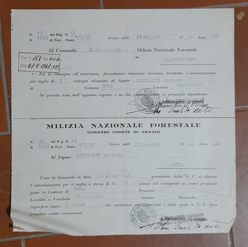 Vecchio documento fascismo - vecchio,