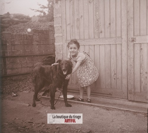 Piccola bambina animale cane - piccola, bambina,