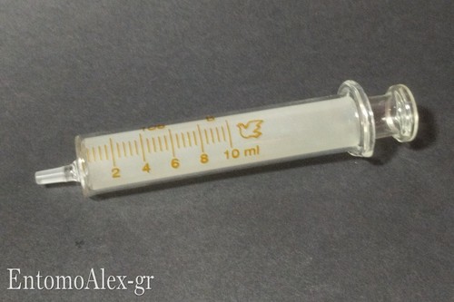 Siringa graduata 10ml - graduata,