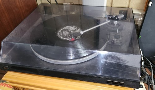 Dual 503 audiphile - dual,