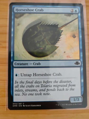 Mtg horseshoe crab - horseshoe, 055