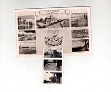 NETTUNO(ROMA)-CARTOLINA
