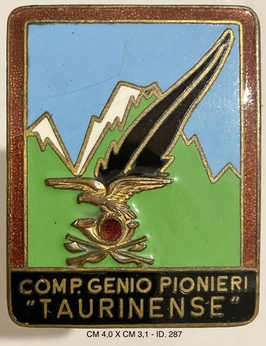 Alpini compagnia genio - compagnia,