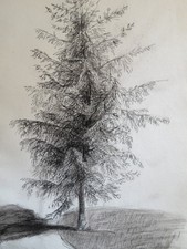 SCUOLA FRANCESE XIX DISEGNO