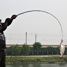 Zaino Canna da Pesca