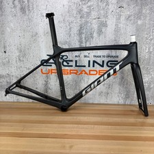 2021 Giant TCR Advanced Pro