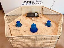 RECINTO SVEZZAMENTO PER 60 PULCINI | CHIOCCIA ARTIFICIALE | IL DOPO INCUBATRICE