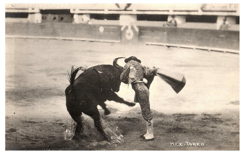 Matador vicino con toro - da, e