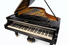 Pianoforte a Coda Bechstein