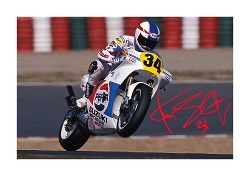 Kevin schwantz mounted - kevin,