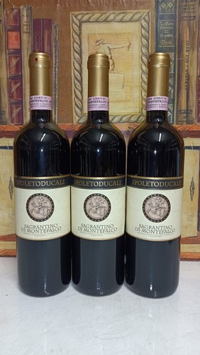 Vino 1999 sagrantino di - 1x,