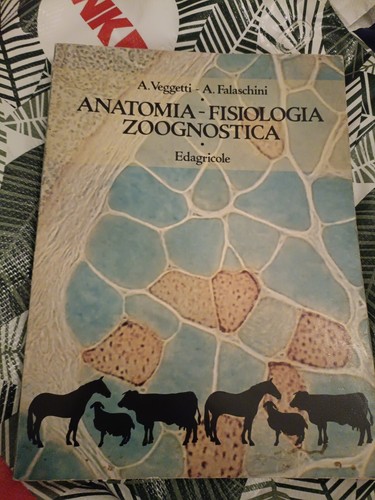 Anatomia fisiologia - , e