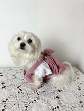 Vestito Per Cani Da Signorina