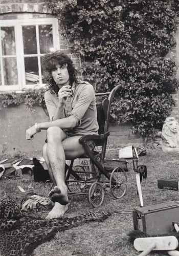 Keith richards the - (the, rolling