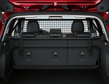 Originale Ford Griglia