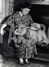 Foto vintage Cuccioli, Leone con biberon, 1954, Stampa 18 x 13 cm