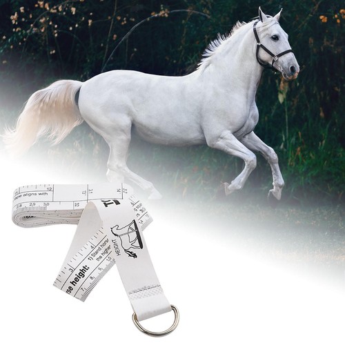 Altezza del cavallo nastro - del,