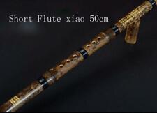 Strumento Cinese Professionale Viola Bambù 1 Sezione Flauto Corto Chiave Xiao C