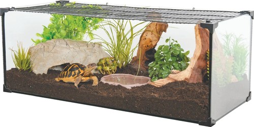Tartarughiera terrario habitat - tartarughiera,