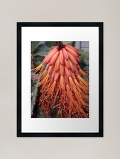 Quadro stampa artistica con