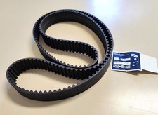 CINGHIA DISTRIBUZIONE