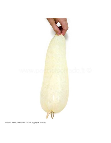 Pezzi budello 100 naturale - budello, 100%