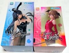 Rascal Does Not Dream of