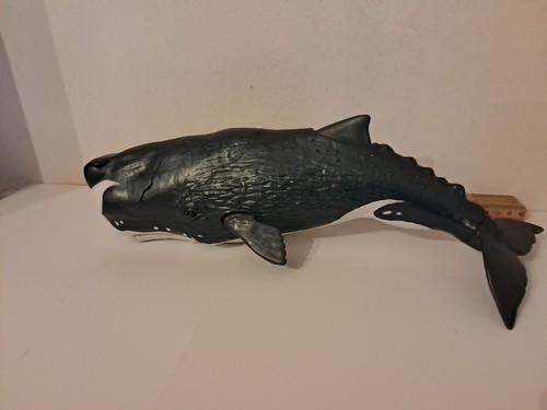 Chap mei capodoglio vintage - chap,