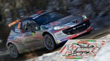 Decals Peugeot 207 S2000 Rally