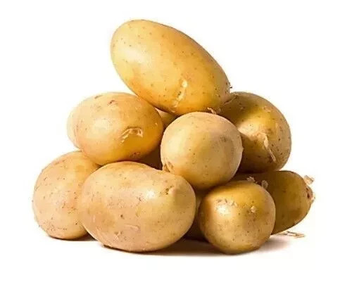 Semi patate ilona 02 g - semi,