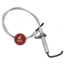 Elettrodo Caldaia Sime Climit