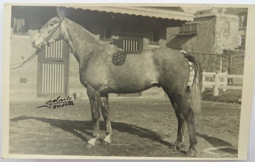 1920 maison mathieu belgio - 1920,