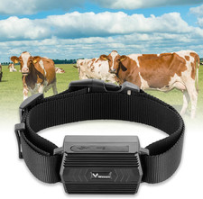 4G Collare GPS per Cane