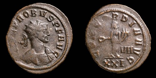 Probus concordia avg roma - avg,,