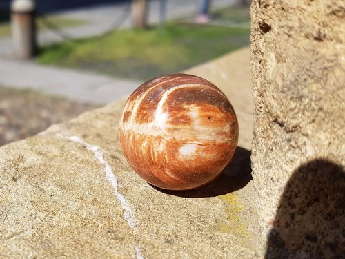 Legno fossile sfera - legno,