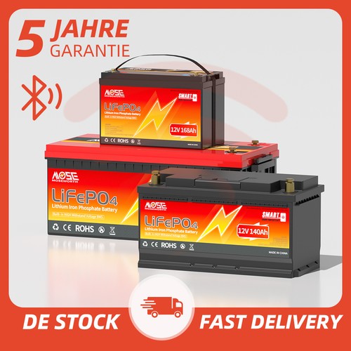 Batteria litio 12v 100ah - al,