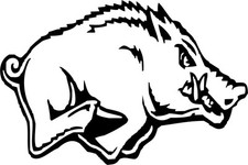 ADESIVI CINGHIALE PER  CAMION