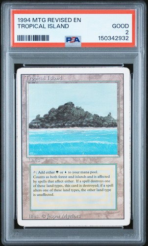 Mtg 1994 edizione riveduta - 1994,