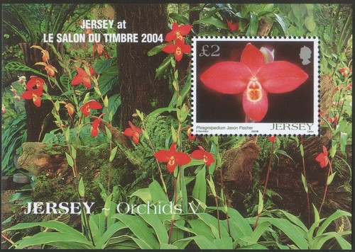 Jersey 2004 mnh salon - jersey,