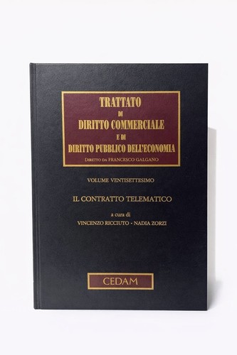 Contratto telematico - il,