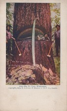 Cartolina Washington WA