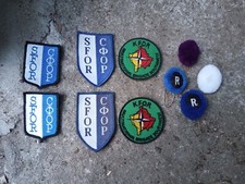 No regio esercito alpini lotto