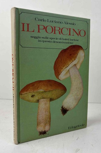 Porcino saggio sulle - il,