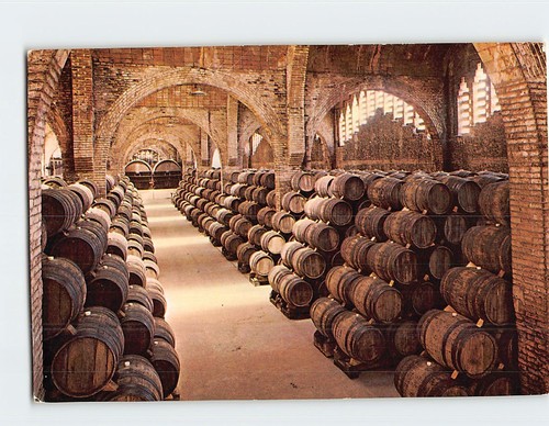 Cartolina cantina cavas - cantina,
