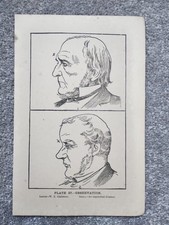 Observation - Phrenology -