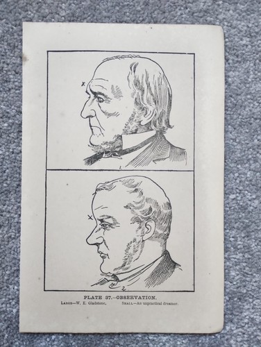 Observation phrenology - -,
