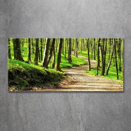 Quadro tulup stampa vetro wall - quadro,