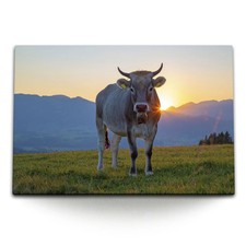 Quadro su tela 120x80 cm mucca