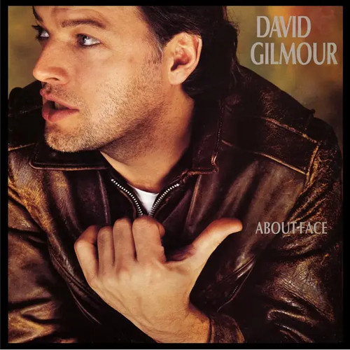 David gilmour about face - david,